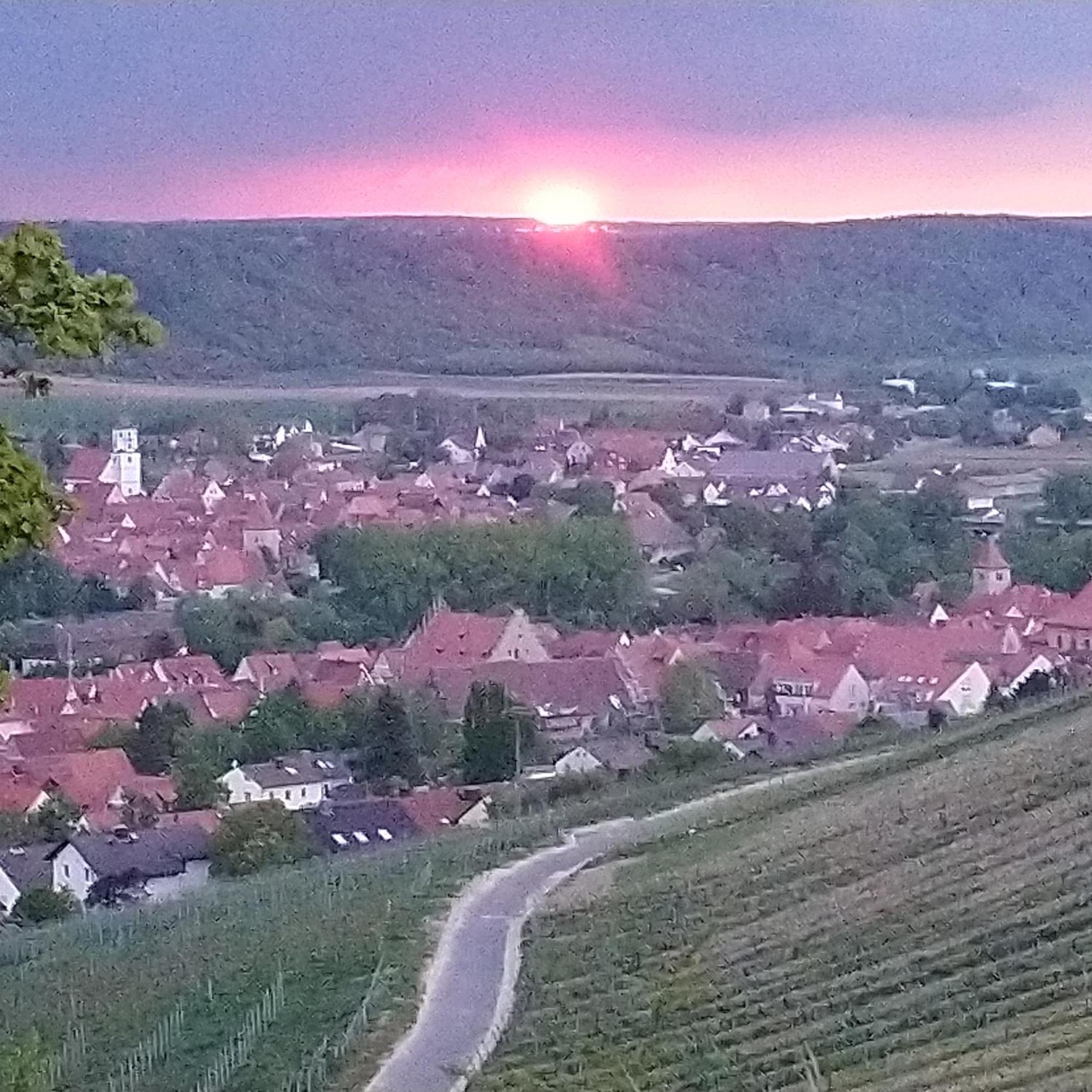 Kirschberghof Gaestehaus Und Weinverkauf Sommerhausen Exterior foto